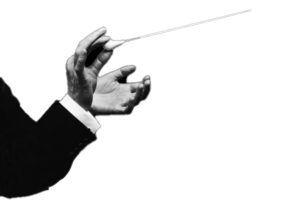 Dirigeer stokje aangepast